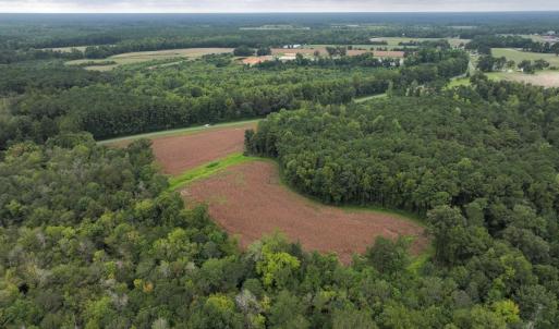 Photo #4 of Off Stocking Head Road, Rose Hills, NC 74.8 acres