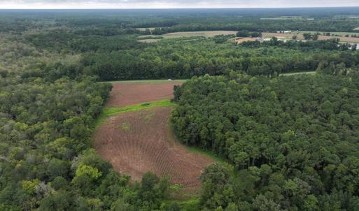 Photo #5 of Off Stocking Head Road, Rose Hills, NC 74.8 acres
