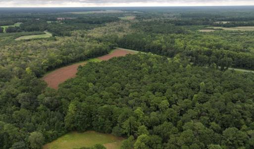 Photo #6 of Off Stocking Head Road, Rose Hills, NC 74.8 acres