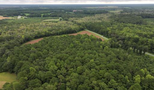 Photo #7 of Off Stocking Head Road, Rose Hills, NC 74.8 acres