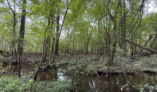 Photo #44 of Off Stocking Head Road, Rose Hills, NC 74.8 acres