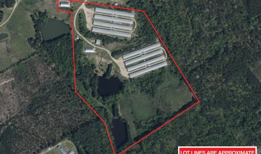 Photo #5 of 687 Brock Rd, Linden, NC 45.0 acres