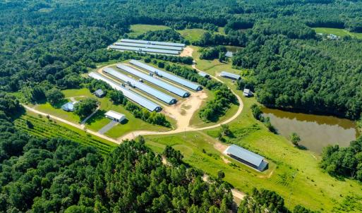 Photo #1 of 687 Brock Rd, Linden, NC 45.0 acres