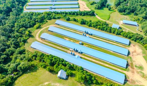 Photo #2 of 687 Brock Rd, Linden, NC 45.0 acres
