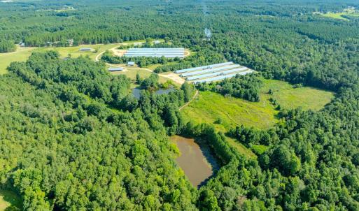 Photo #4 of 687 Brock Rd, Linden, NC 45.0 acres