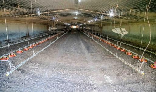 Photo #12 of 687 Brock Rd, Linden, NC 45.0 acres