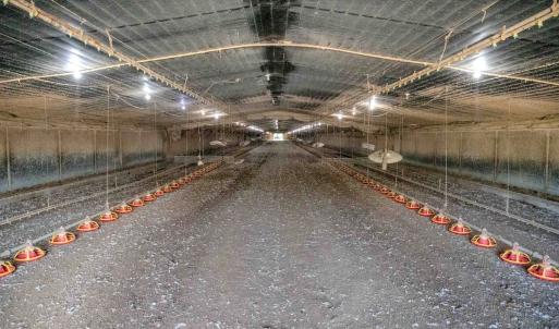 Photo #13 of 687 Brock Rd, Linden, NC 45.0 acres