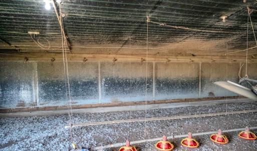 Photo #14 of 687 Brock Rd, Linden, NC 45.0 acres