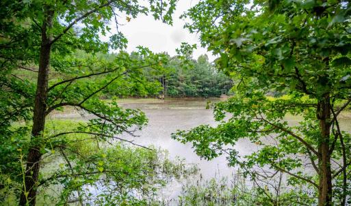 Photo #45 of 687 Brock Rd, Linden, NC 45.0 acres