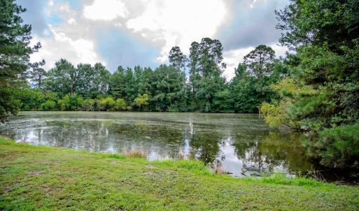 Photo #46 of 687 Brock Rd, Linden, NC 45.0 acres
