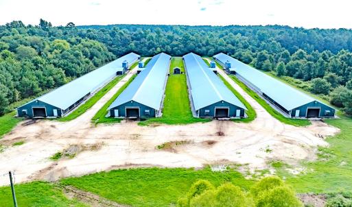 Photo #49 of 687 Brock Rd, Linden, NC 45.0 acres