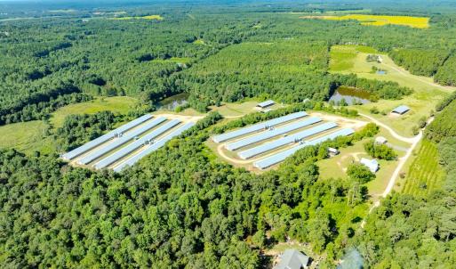 Photo #65 of 687 Brock Rd, Linden, NC 45.0 acres