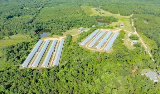 Photo #66 of 687 Brock Rd, Linden, NC 45.0 acres