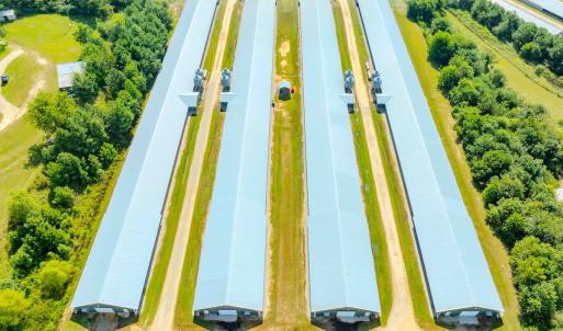 Photo #69 of 687 Brock Rd, Linden, NC 45.0 acres