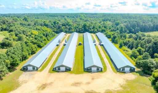 Photo #72 of 687 Brock Rd, Linden, NC 45.0 acres
