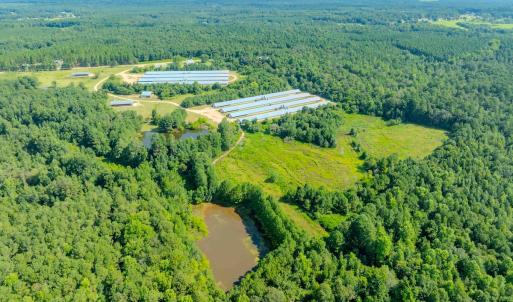 Photo #73 of 687 Brock Rd, Linden, NC 45.0 acres