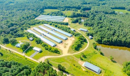 Photo #74 of 687 Brock Rd, Linden, NC 45.0 acres