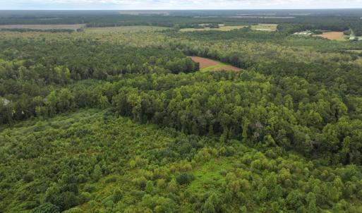 Photo #11 of Off Stocking Head Road, Rose Hill, NC 74.8 acres