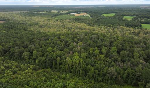 Photo #12 of Off Stocking Head Road, Rose Hill, NC 74.8 acres