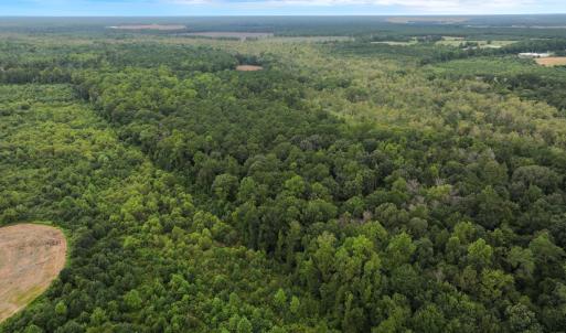 Photo #13 of Off Stocking Head Road, Rose Hill, NC 74.8 acres