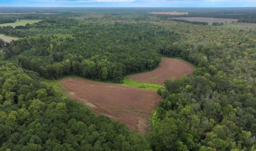 Photo #18 of Off Stocking Head Road, Rose Hill, NC 74.8 acres