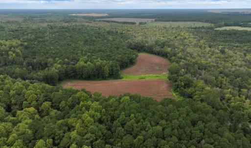 Photo #19 of Off Stocking Head Road, Rose Hill, NC 74.8 acres