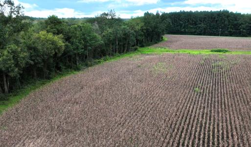 Photo #21 of Off Stocking Head Road, Rose Hill, NC 74.8 acres