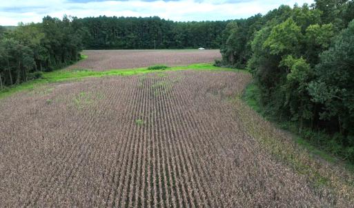 Photo #22 of Off Stocking Head Road, Rose Hill, NC 74.8 acres
