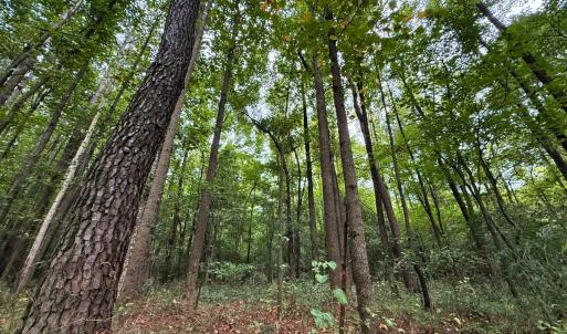 Photo #25 of Off Stocking Head Road, Rose Hill, NC 74.8 acres