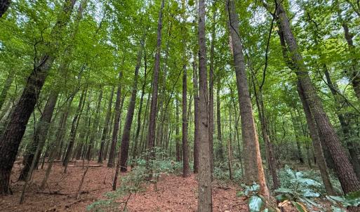Photo #26 of Off Stocking Head Road, Rose Hill, NC 74.8 acres
