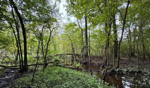 Photo #28 of Off Stocking Head Road, Rose Hill, NC 74.8 acres