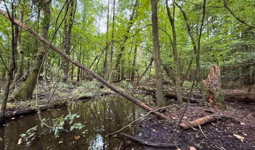 Photo #30 of Off Stocking Head Road, Rose Hill, NC 74.8 acres