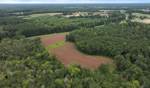 Photo #4 of Off Stocking Head Road, Rose Hill, NC 74.8 acres
