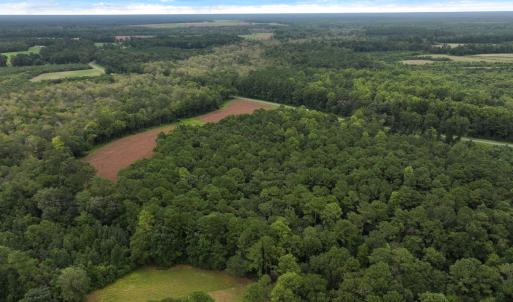 Photo #6 of Off Stocking Head Road, Rose Hill, NC 74.8 acres