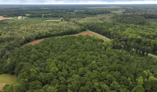 Photo #7 of Off Stocking Head Road, Rose Hill, NC 74.8 acres