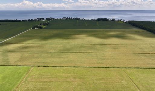 Photo #18 of Off Willet Way, Hertford, NC 4.0 acres