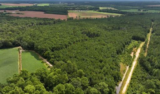 Photo #10 of Off Doc Brown Road, Rose Hill, NC 118.0 acres