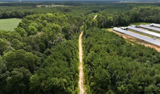 Photo #11 of Off Doc Brown Road, Rose Hill, NC 118.0 acres