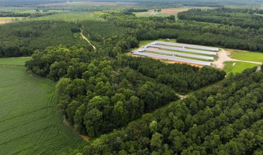 Photo #12 of Off Doc Brown Road, Rose Hill, NC 118.0 acres