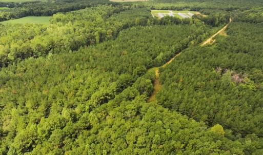Photo #13 of Off Doc Brown Road, Rose Hill, NC 118.0 acres