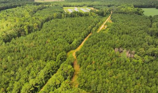 Photo #14 of Off Doc Brown Road, Rose Hill, NC 118.0 acres