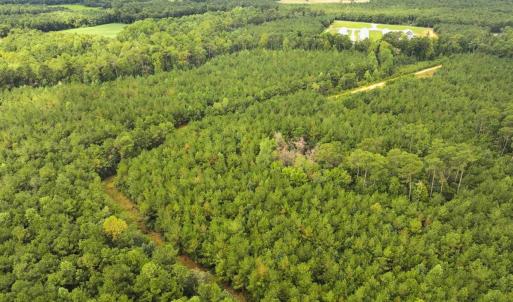 Photo #15 of Off Doc Brown Road, Rose Hill, NC 118.0 acres