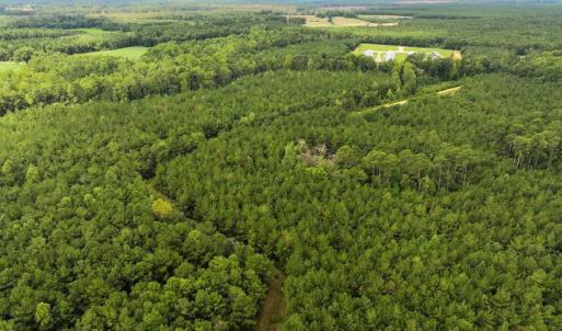 Photo #16 of Off Doc Brown Road, Rose Hill, NC 118.0 acres