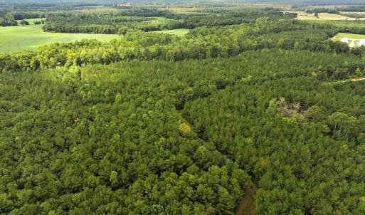 Photo #17 of Off Doc Brown Road, Rose Hill, NC 118.0 acres