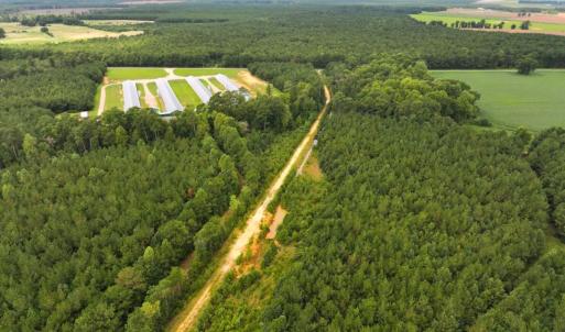 Photo #18 of Off Doc Brown Road, Rose Hill, NC 118.0 acres