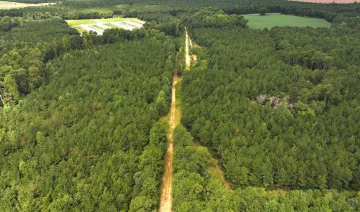Photo #19 of Off Doc Brown Road, Rose Hill, NC 118.0 acres