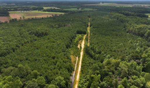 Photo #2 of Off Doc Brown Road, Rose Hill, NC 118.0 acres