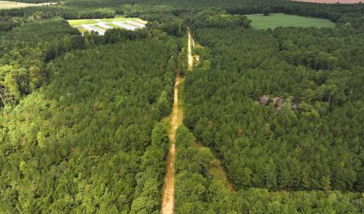 Photo #20 of Off Doc Brown Road, Rose Hill, NC 118.0 acres