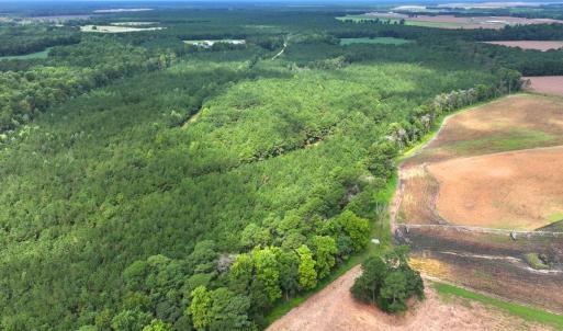 Photo #21 of Off Doc Brown Road, Rose Hill, NC 118.0 acres