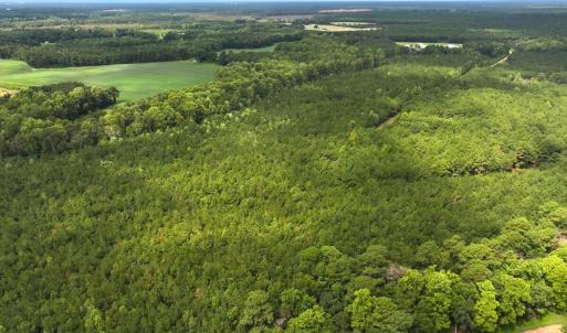Photo #22 of Off Doc Brown Road, Rose Hill, NC 118.0 acres